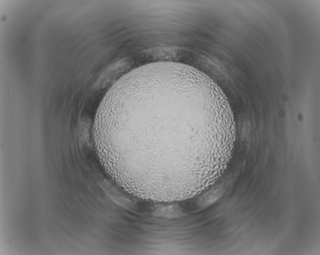 X0000072980185200608111750