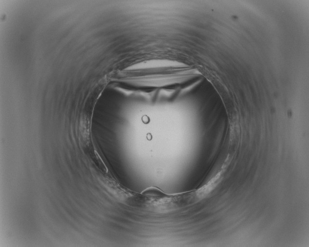 X0000072980186200608111750