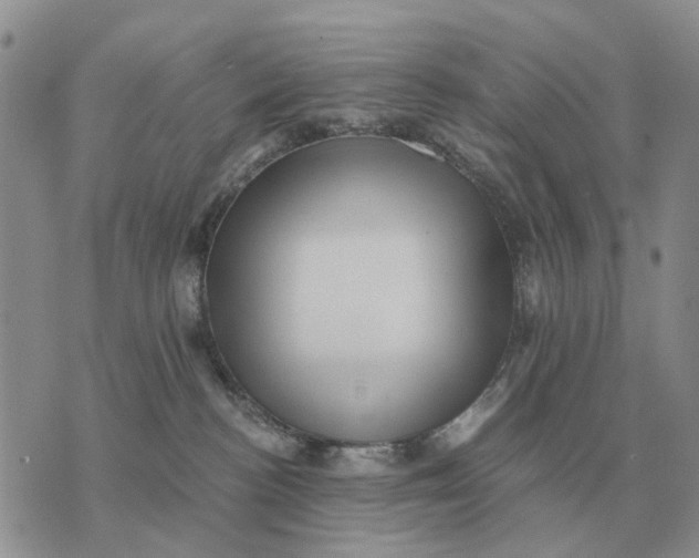 X0000072980188200608111750