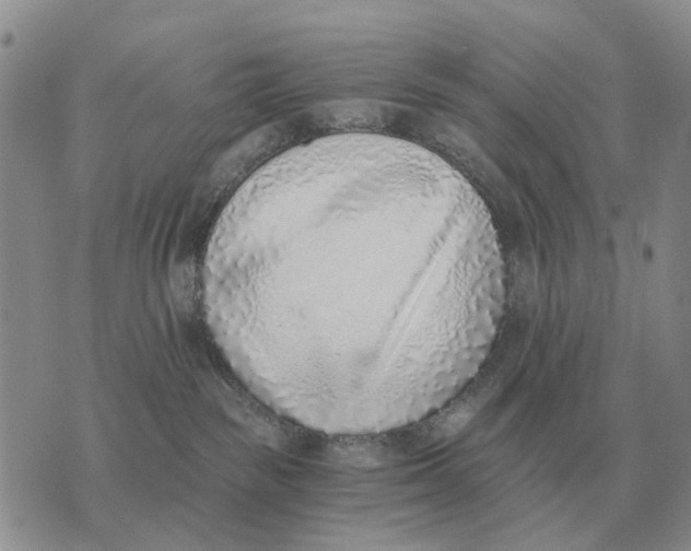 X0000072980189200608111750