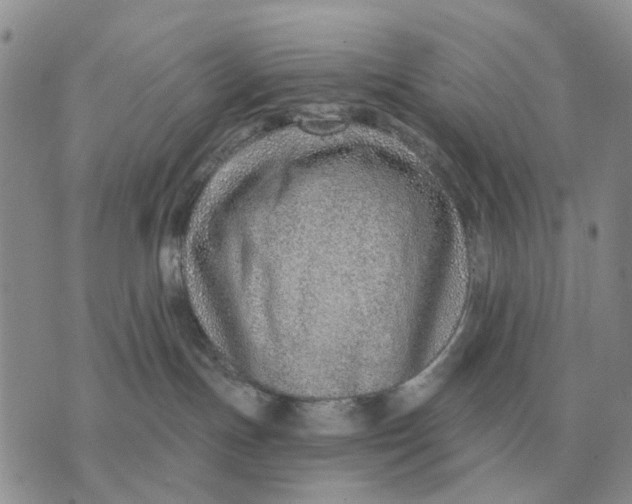 X0000072980191200608111750