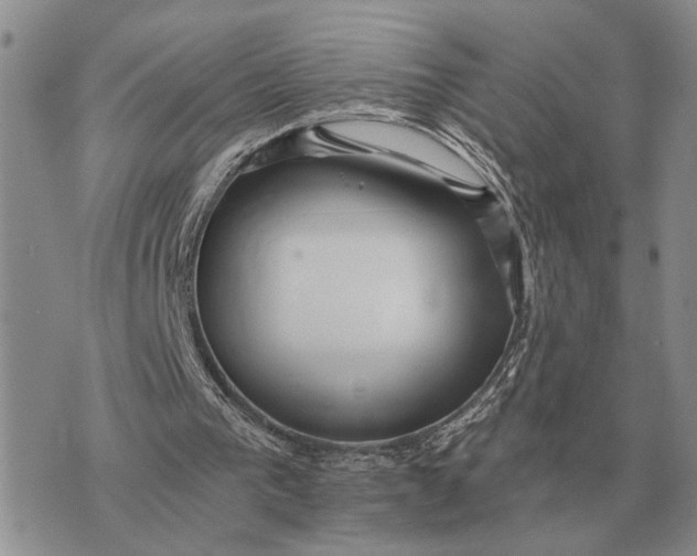 X0000072980193200608111750