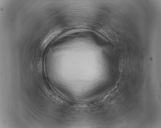 X0000072980194200608111750