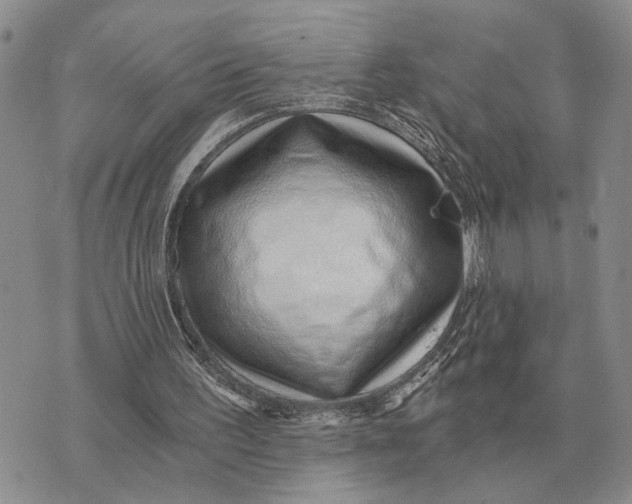 X0000072980195200608111750