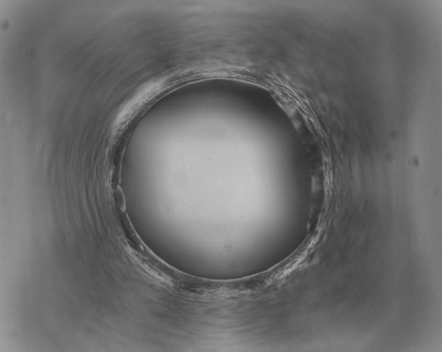 X0000072980197200608111750