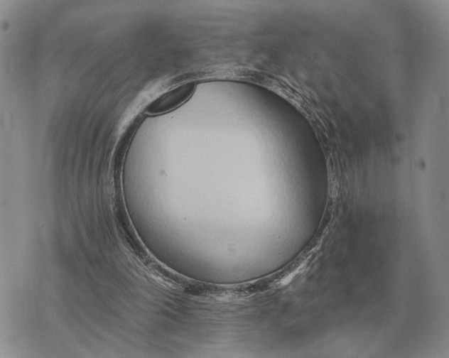 X0000072980198200608111750