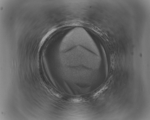 X0000072980200200608111750