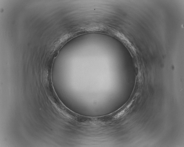 X0000072980201200608111750