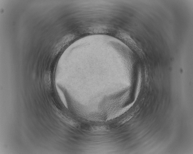 X0000072980202200608111750