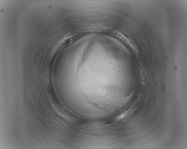 X0000072980203200608111750