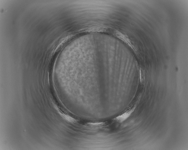 X0000072980205200608111750