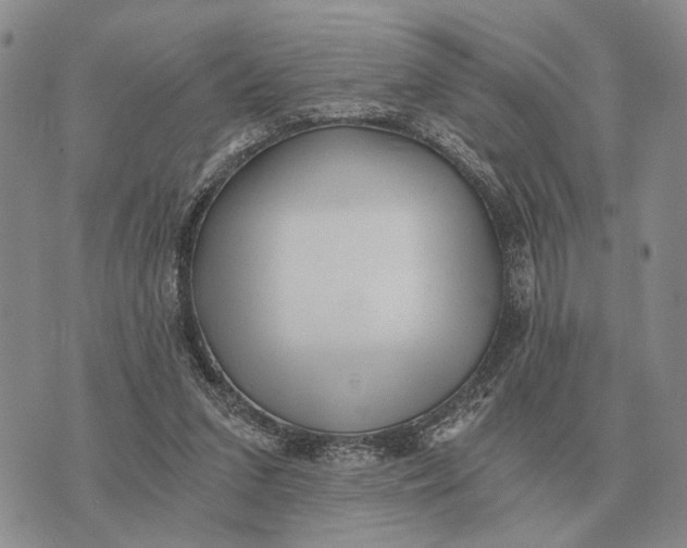 X0000072980207200608111749