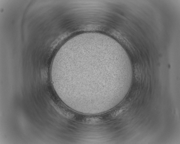 X0000072980208200608111749