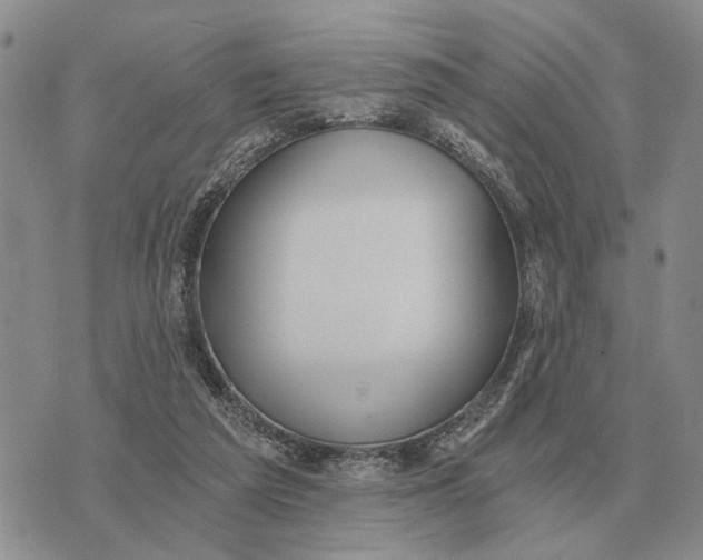 X0000072980209200608111749