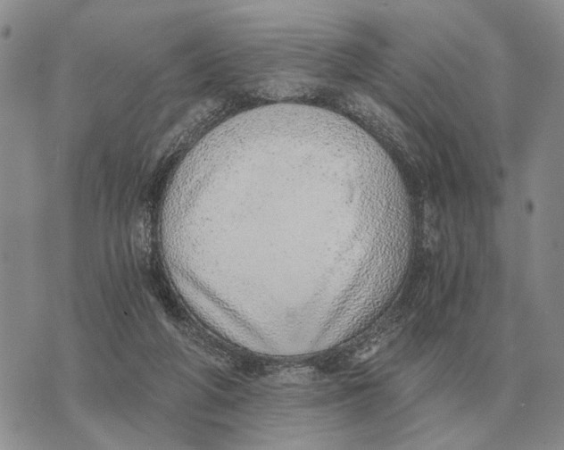 X0000072980210200608111749