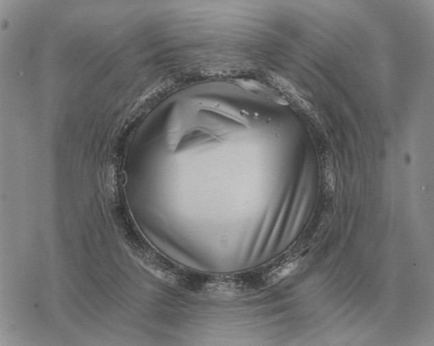 X0000072980211200608111749