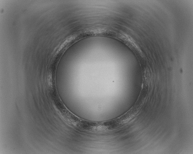 X0000072980212200608111749