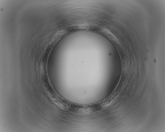 X0000072980213200608111749