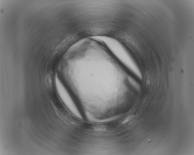 X0000072980214200608111749