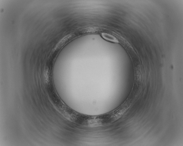 X0000072980216200608111749