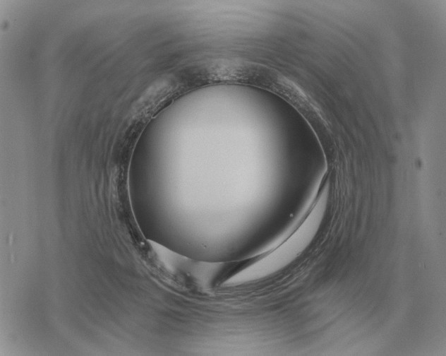 X0000072980217200608111749