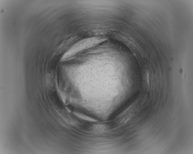 X0000072980218200608111749