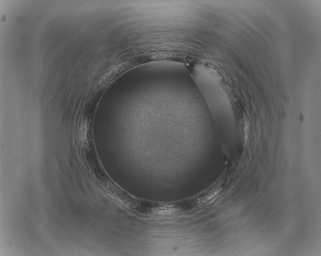 X0000072980219200608111749