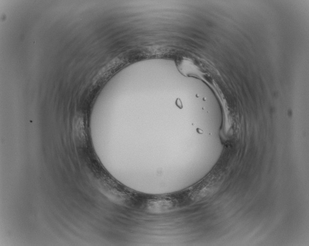 X0000072980220200608111749