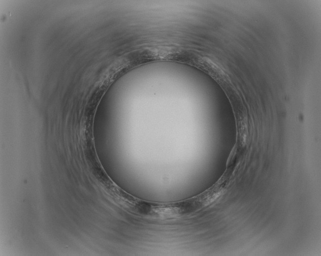 X0000072980221200608111749