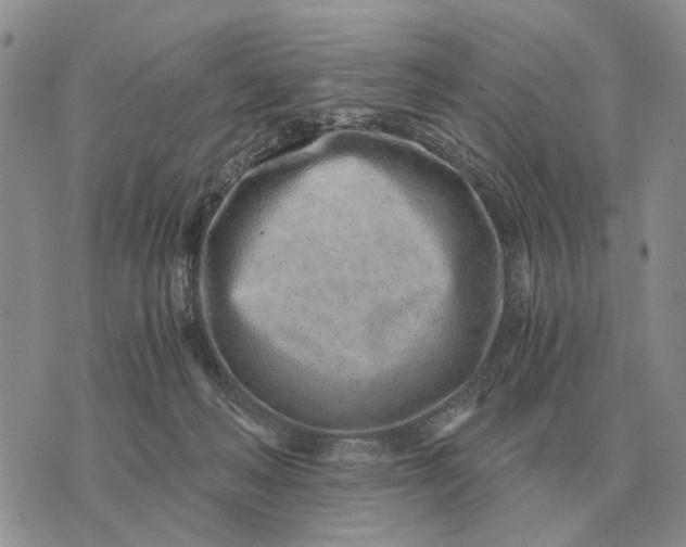 X0000072980222200608111749