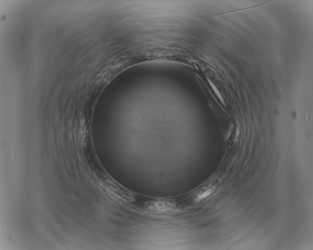 X0000072980223200608111749