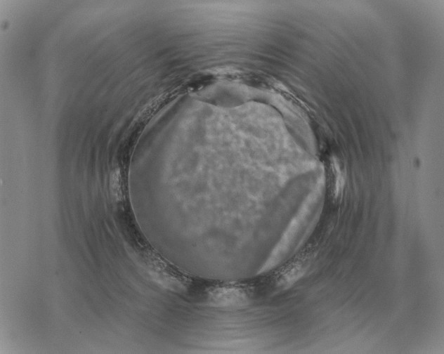 X0000072980224200608111749