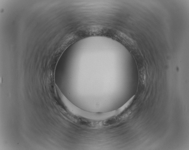 X0000072980225200608111749