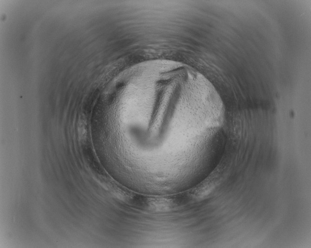 X0000072980226200608111749