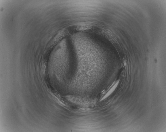 X0000072980227200608111749