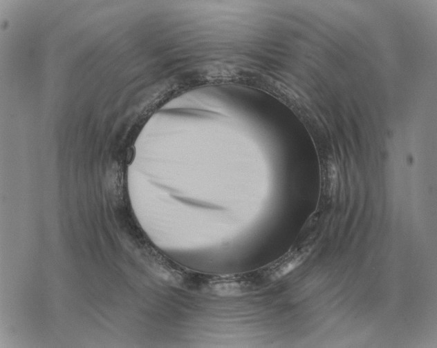 X0000072980228200608111749