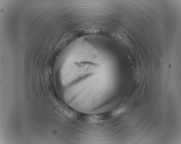 X0000072980229200608111749