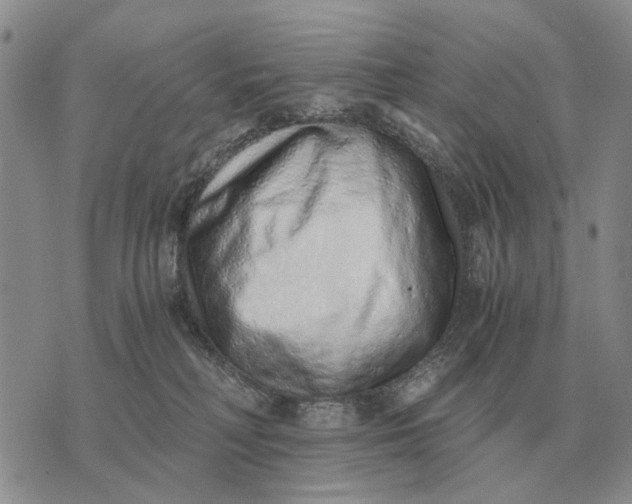 X0000072980230200608111749