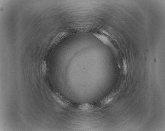 X0000072980231200608111749