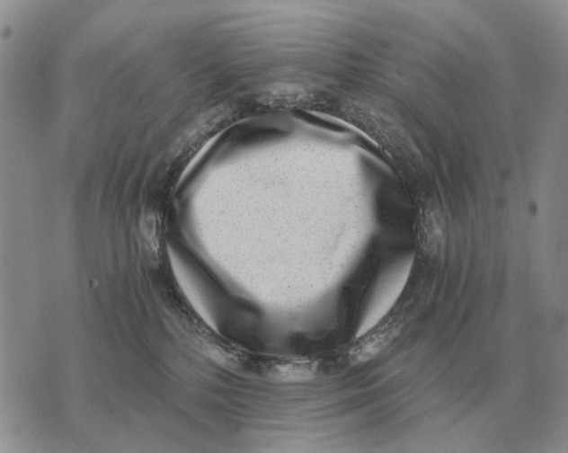 X0000072980232200608111749