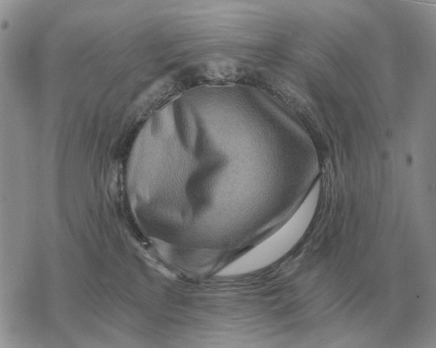 X0000072980233200608111749