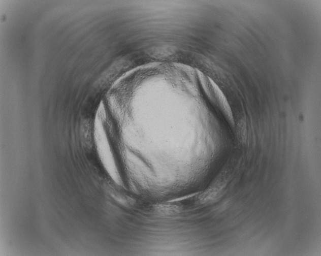 X0000072980234200608111749