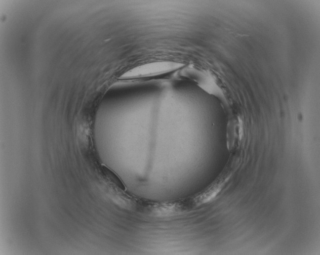 X0000072980235200608111749