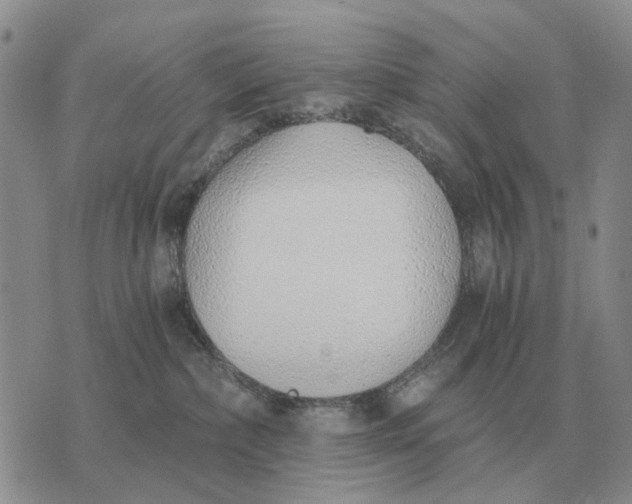 X0000072980236200608111749