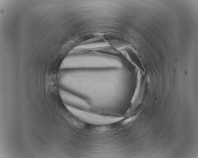 X0000072980237200608111749