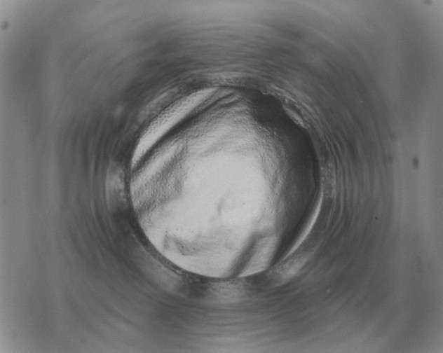 X0000072980238200608111749