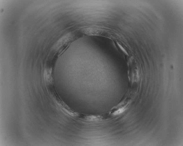 X0000072980239200608111749