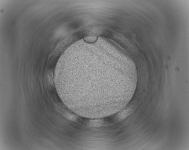 X0000072980240200608111749