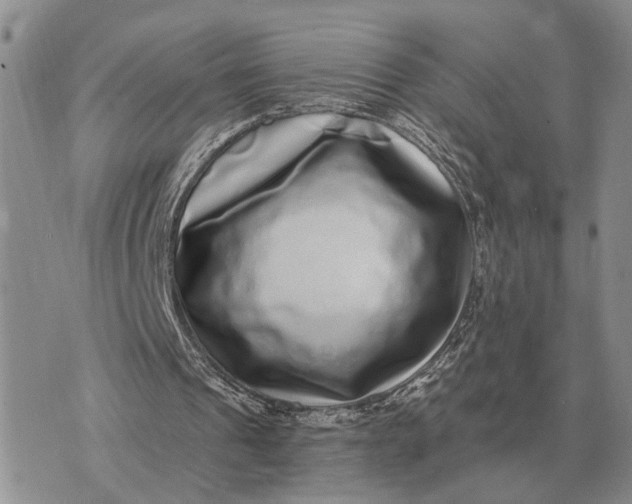 X0000072980241200608111748