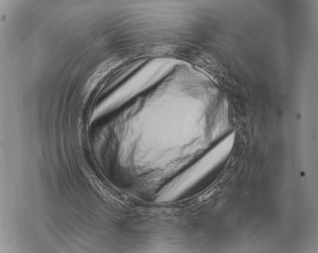 X0000072980242200608111748